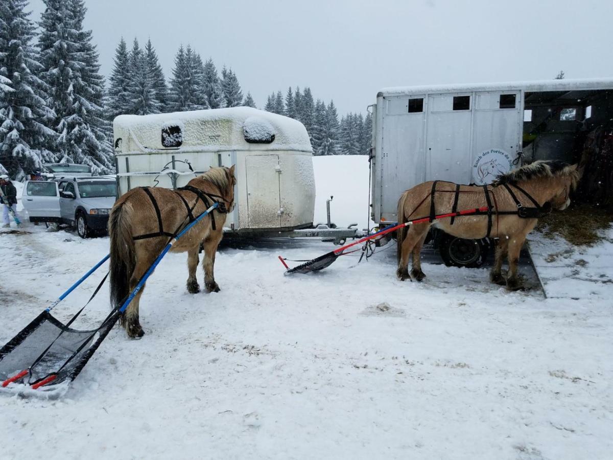 Appartamento Praz-Du-Soleil F3 Les Gets Esterno foto